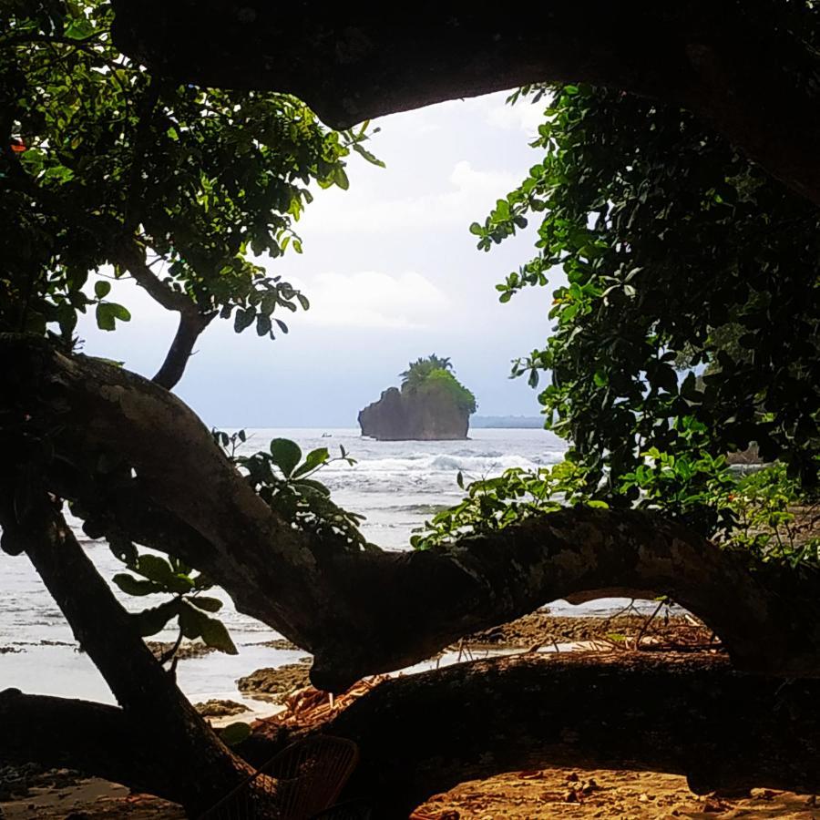 Puerto Viejo de Talamanca Black Bamboo المظهر الخارجي الصورة