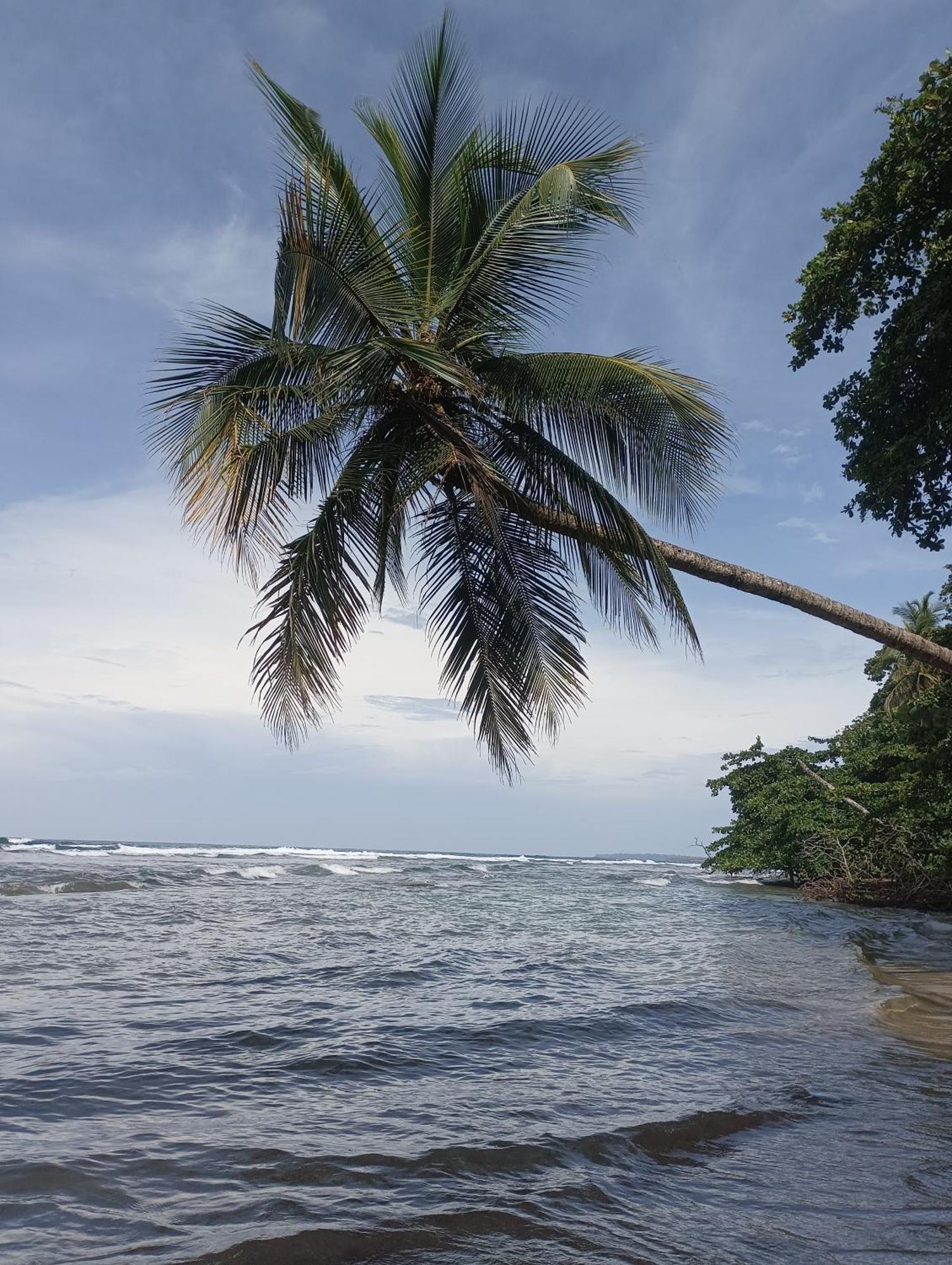Puerto Viejo de Talamanca Black Bamboo المظهر الخارجي الصورة