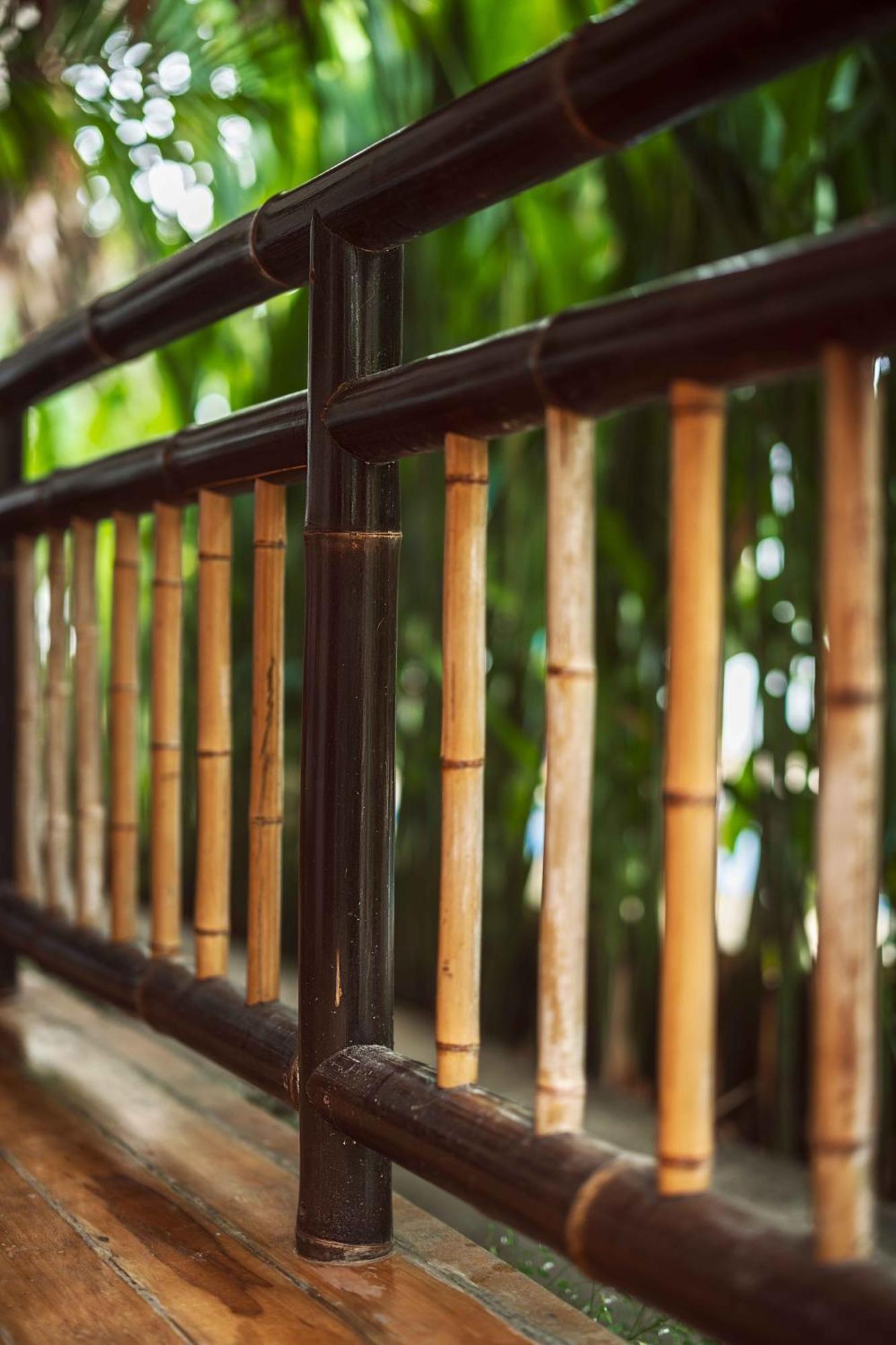 Puerto Viejo de Talamanca Black Bamboo المظهر الخارجي الصورة