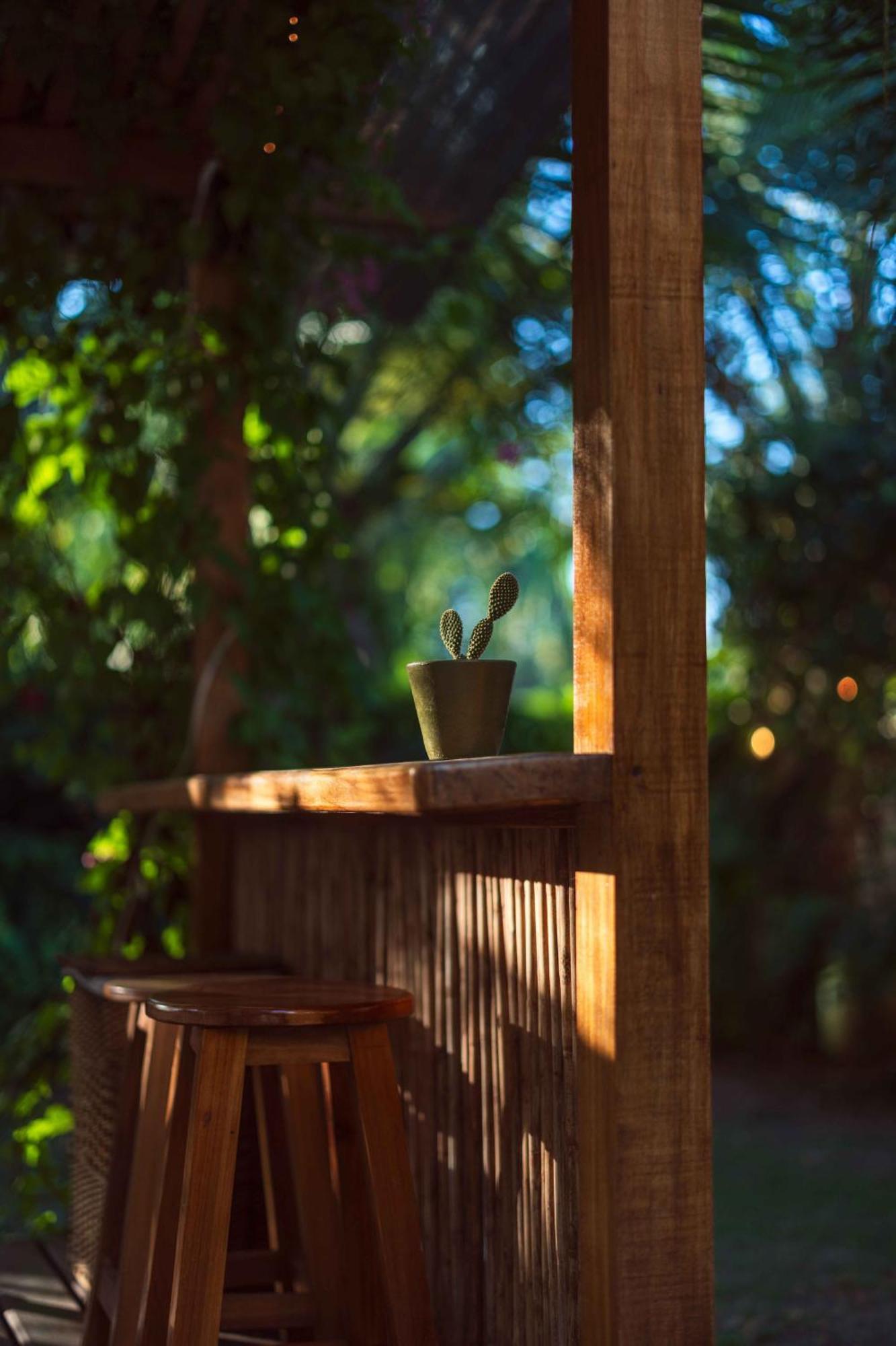 Puerto Viejo de Talamanca Black Bamboo المظهر الخارجي الصورة
