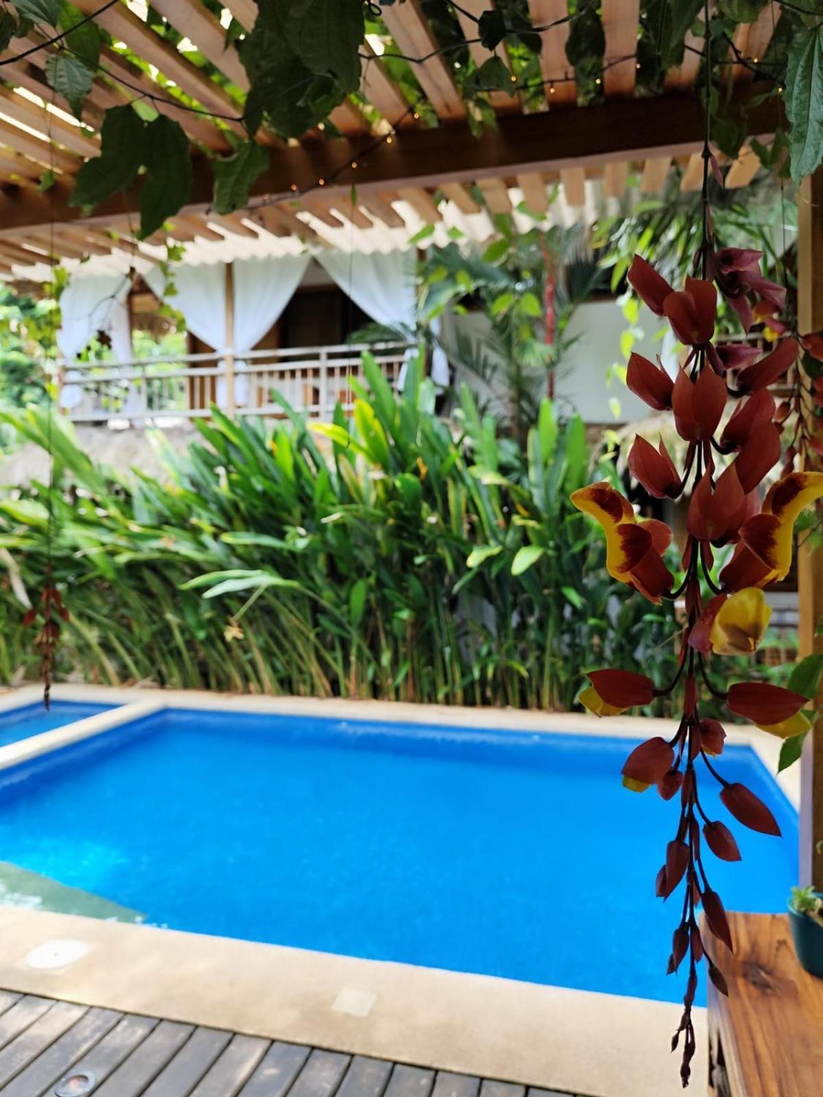 Puerto Viejo de Talamanca Black Bamboo المظهر الخارجي الصورة